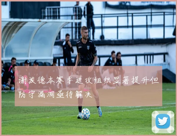谢泼德本赛季进攻组织显著提升但防守漏洞亟待解决