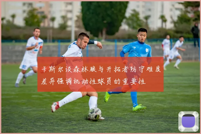 卡斯尔谈森林狼与开拓者防守难度差异强调机动性球员的重要性