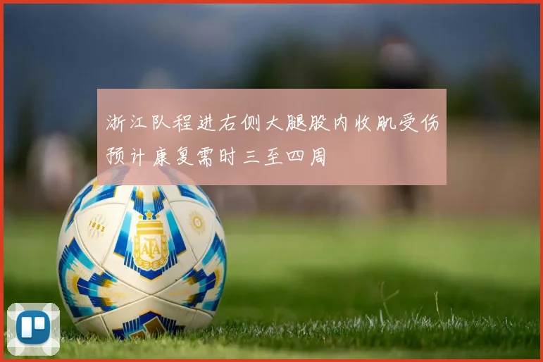浙江队程进右侧大腿股内收肌受伤预计康复需时三至四周